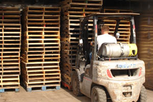 Standard Spec #1 Pallets